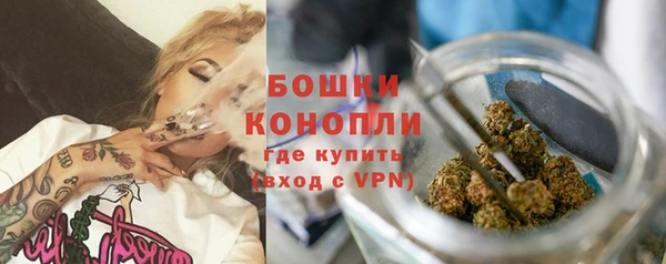 ПСИЛОЦИБИНОВЫЕ ГРИБЫ Белоозёрский