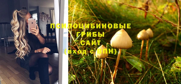 мет Белокуриха